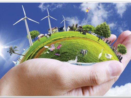 Environment